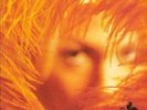 Stone Temple Pilots - SHANGRI LA DEE DA - Music on Vinyl LP NEW & SEALED
