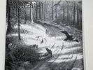 1Burzum Hvis Lyset Tar Oss LP Vinyl Record Gatefold Norwegian Black Metal
