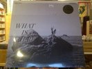 Delta Spirit What Is There LP sealed colored vinyl indie exclusive