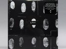 GRAY - Shades Of - RSD BLACK FRIDAY 2019 3-LP NEW SEALED
