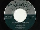 C&W Hillbilly 45 - Cecil Campbell - Just A Drop In The Bucket - Palmetto - mp3