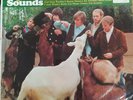 The Beach Boys - Pet Sounds - original vinyl 1966 mono pressing - T2458