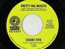 Garage 45 - Count Five - Pretty Big Mouth - Double Shot - mp3