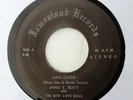 JAMES E SCOTT New Love Band 45 Dan Dare JAMESLAND Rec 75? Hear MIAMI Funk SOUL