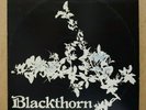 BLACKTHORN - S/T 1977 UK WHM ORIG LP PRIVATE BEAUTIFUL FEMVOX PSYCH FOLK GEM NM