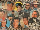 ELVIS PRESLEY - 14unique Picture Disc - Rock N Roll (EU IMPORTS 7”singles