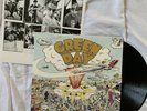 green day dookie vinyl NM