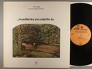 Pearls Before Swine Tom Rapp  ...Beautiful Lies You Could Live In. Folk Psych
