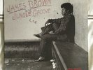 2 DOUBLE LP JAMES BROWN In The Jungle Groove  VINYL 180 GRAM UK 2009