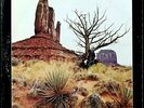 NEW RIDERS OF PURPLE SAGE 'Gypsy Cowboy' 1972 Near Mint Never played Promo LP