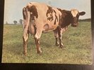 PINK FLOYD ATOM HEART MOTHER LP SKAO-382 HARVEST GATEFOLD 1970