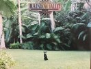 Matt Corby - Rainbow Valley - Rare Australian Folk Vinyl LP - Brand New & Sealed