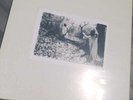 Sunn o))) - White Box 4xLP SEALED Boris Isis Southern Lord White 1 White 2
