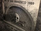 Rare Danzig Not Of This World Live 1989 Vinyl Record Lp DSF8902 Horror Punk Rock
