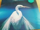 FAITH NO MORE - ANGEL DUST