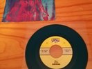 Nirvana Sliver b/w Dive 1990 SP73A USA aqua / türkis Sub POP Vinyl Single  TOP