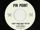 Funk 45 - Alvin Christy - I Don't Know What You Got - Pin Point - VG+ mp3