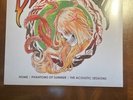 Dirty Heads PHANTOMS OF SUMMER vinyl LP