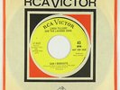 Funk 45 - Linda Tillery & Loading Zone - Can I Dedicate - RCA Victor - VG++ mp3
