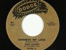 Deep/R&B Soul 45 - Artie Golden - Goodbye My Love - Dodge - VG+ mp3