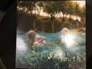 Sonic Youth..Murray Street..Vinyl.. VGC..