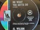 1968 FUNK/SOUL - AL WILSON - DO WHAT YOU GOTTA DO - 7