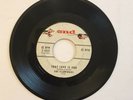 The Flamingos Lovers Never Say Goodbye / That Love Is You End Records 45