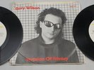 GARY WILSON INVASION OF PRIVACY 1980 MCP1001 DOUBLE 7