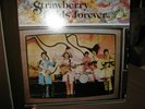 Beatles - Strawberry Fields Forever - Vinyl LP Nems Clue 9B