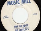 SCARCE 60s GIRL GROUP GARAGE PSYCH 45 LADYLUV'S NOW OR NEVER MUSIC MILL NICE VG+