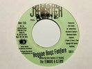 The Tennors & D.J. BMX “Reggae Boyz Fanfare” 1997 Jamixal Music Records Reggae