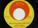 Northern Soul 45 - Jessie James - Are You Gonna Leave Me - Shirley - mp3 - rare