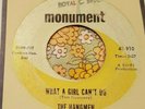 Classic Garage Punk 45 The Hangmen What a Girl Can't Do MONUMENT HEAR