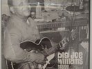 Blues LP Big Joe Williams, Tough Times, Arhoolie F1002, Still Sealed, Scarce.