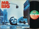 MR. Big - Bump Ahead [ 1993 Korea Orig 1st Vinyl ] EX w/Insert