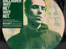 OASIS LIAM GALLAGHER LP Why Me ? Why Not PICTURE DISC Record Store Day 2019 NEW