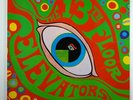 Thirteenth Floor Elevators 