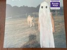 PHOEBE BRIDGERS Stranger In The Alps PURPLE vinyl SEALED Mint Lp Bright Eyes