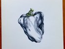 Ween-White Pepper LP Plain Recordings ?– 2009  WHITE Vinyl  NM Record  ????&??