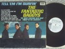 THE FANTASTIC BAGGYS 