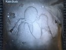 Kate Bush 50 Words for Snow vinyl LP Original 2011 Fish People Pressing - sealed