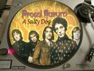 Procol Harum - A Salty Dog Rare 12
