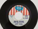 RICKY ALLEN MESSED AROUND AND FELL IN LOVE, 45RPM  USA Label