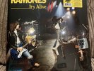 THE RAMONES - It’s Alive II (2) - LTD EDITION - RSD DROP 2020 - Vinyl 2LP - NEW