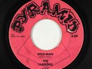 Garage 45 - Tamrons - Wild-Man - Pyramid - mp3 - rare