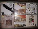 Led Zeppelin Quiex 200 gram I ,Il,lll,lV,Houses,Presence audiophile vinyl lp lot