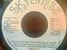 Sweet Soul Funk Boogie JELLY when the picnics over SKYBIRST listen