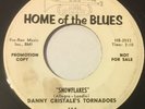 DANNY CHRISTALE'S TORNADOES I Should Have Known 45 Home Of The Blues hear