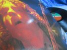 AC/DC ?? LET THERE BE ROCK ?? LIKE NEW   MINT 1st PRESS 1977 