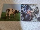 Pink Floyd Atom Heart Mother, Obscured By Clouds Vinyl Records LP, 1st Press